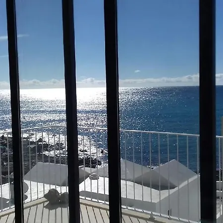 Sargo